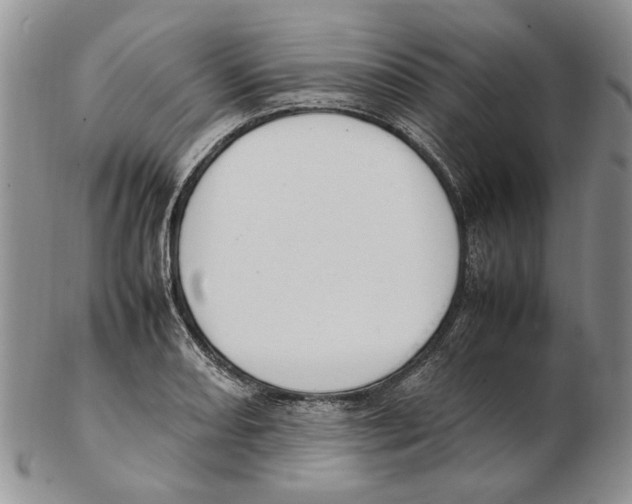 X0000102251082200808221347