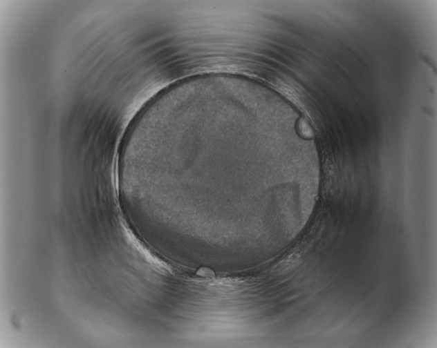 X0000102251084200808221347