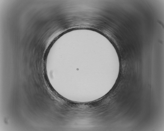 X0000102251085200808221347