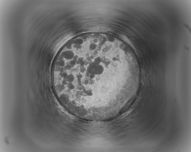 X0000102251087200808221347
