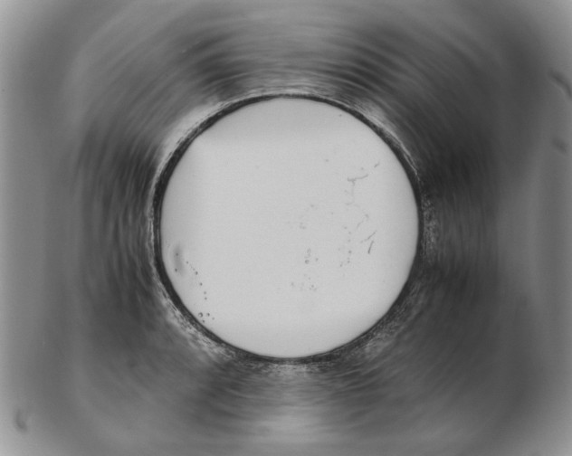 X0000102251088200808221347