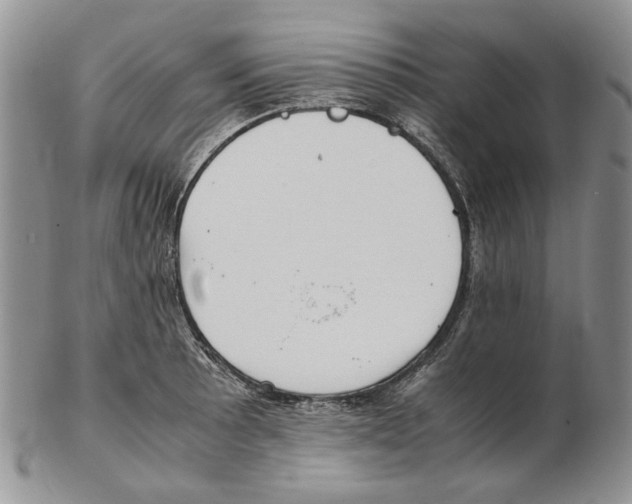 X0000102251089200808221347