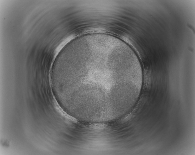 X0000102251090200808221347