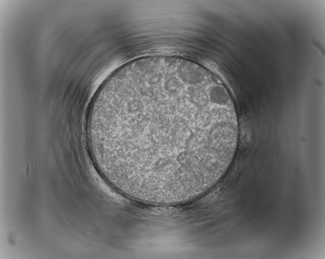 X0000102251091200808221347