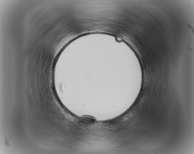 X0000102251093200808221347