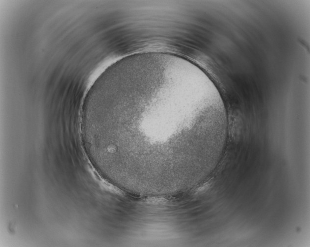 X0000102251094200808221347