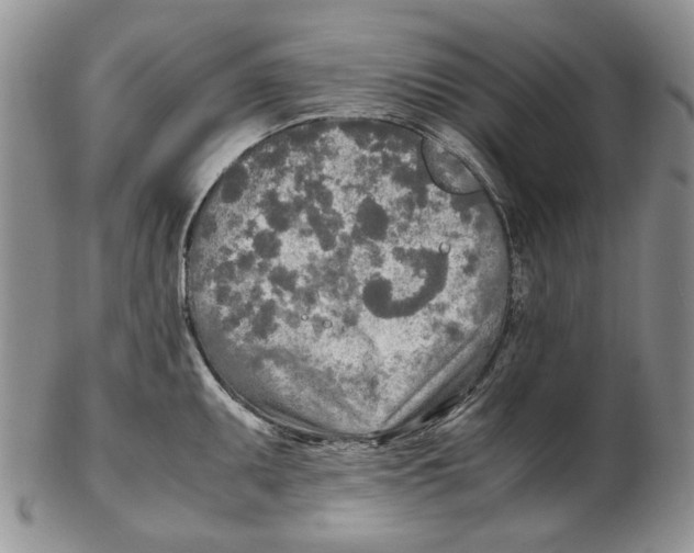 X0000102251095200808221347