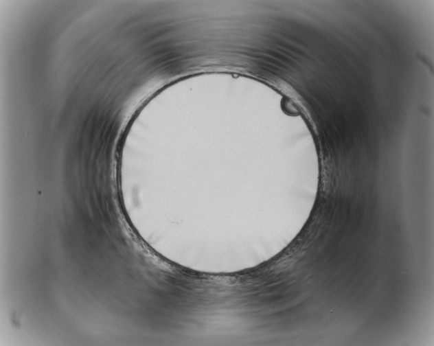 X0000102251096200808221347