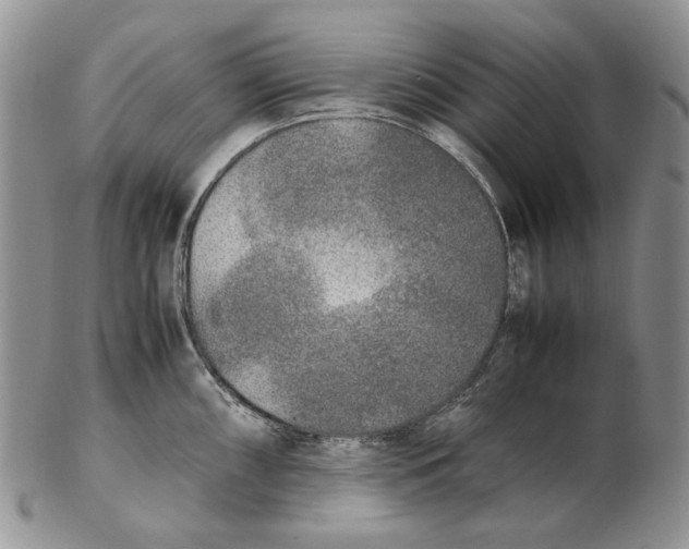 X0000102251098200808221347