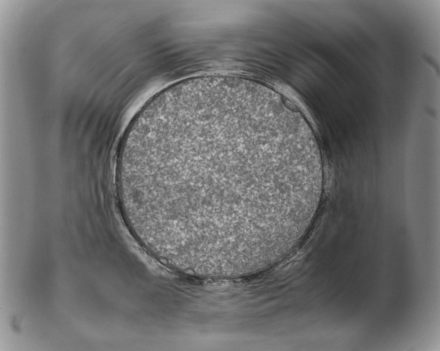 X0000102251099200808221347