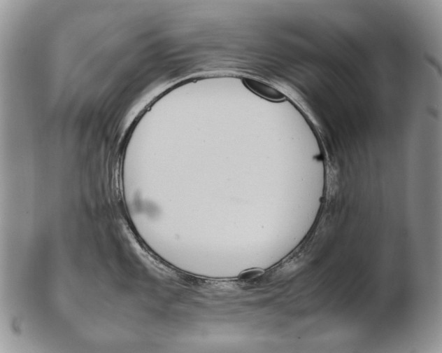 X0000102251101200808221347