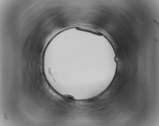 X0000102251102200808221347