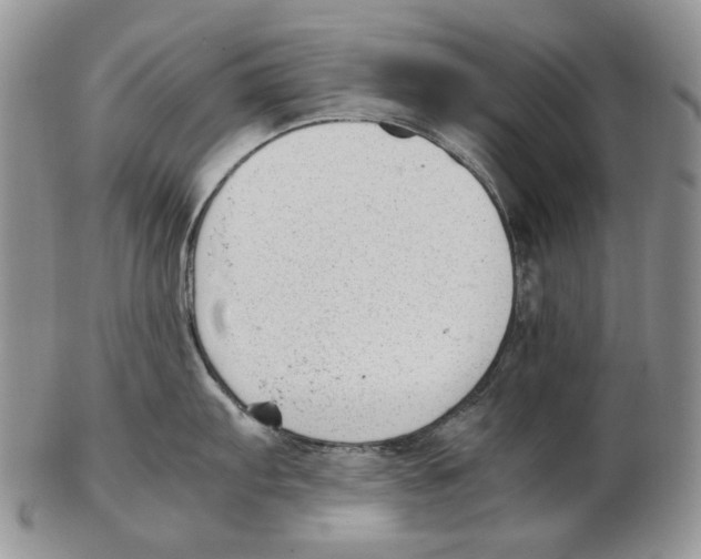 X0000102251103200808221347