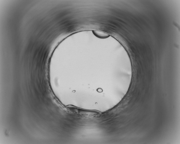 X0000102251104200808221347