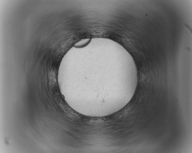 X0000102251106200808221346