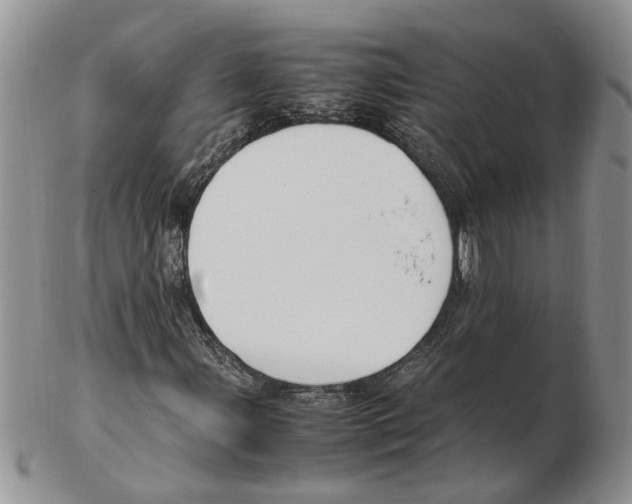 X0000102251107200808221346