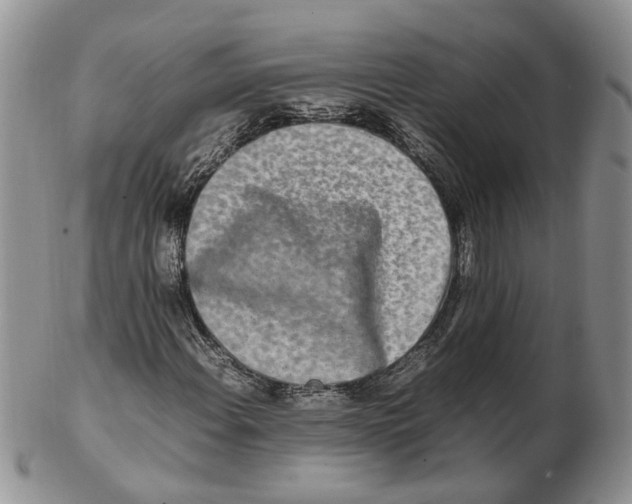 X0000102251108200808221346