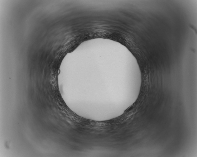 X0000102251109200808221346