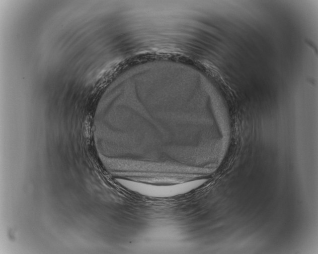 X0000102251110200808221346