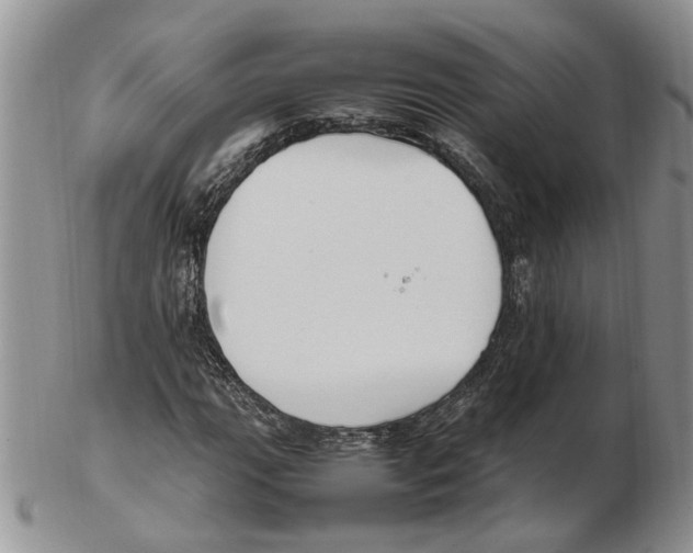 X0000102251111200808221346