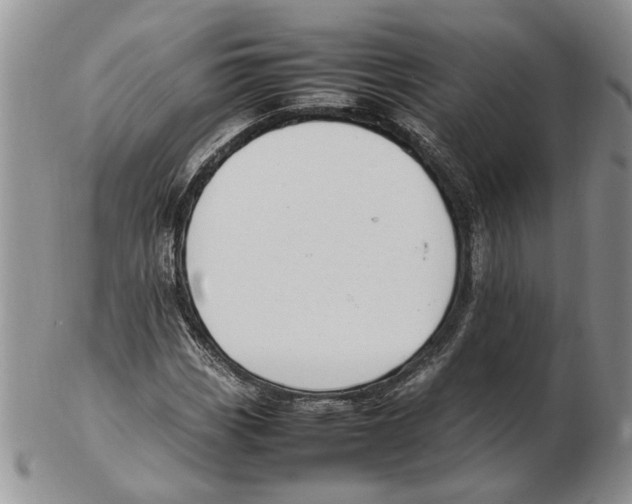 X0000102251113200808221346