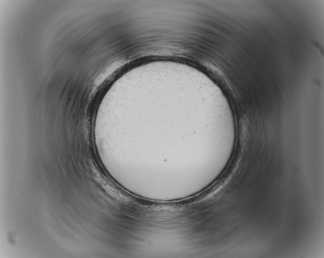 X0000102251114200808221346