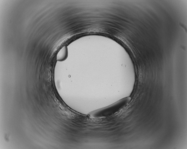 X0000102251115200808221346