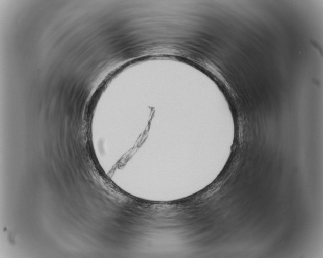 X0000102251116200808221346
