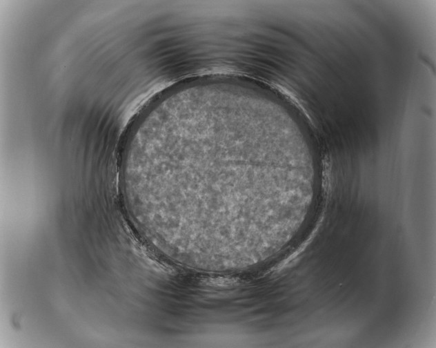 X0000102251117200808221346