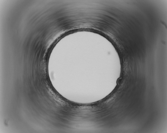 X0000102251118200808221346