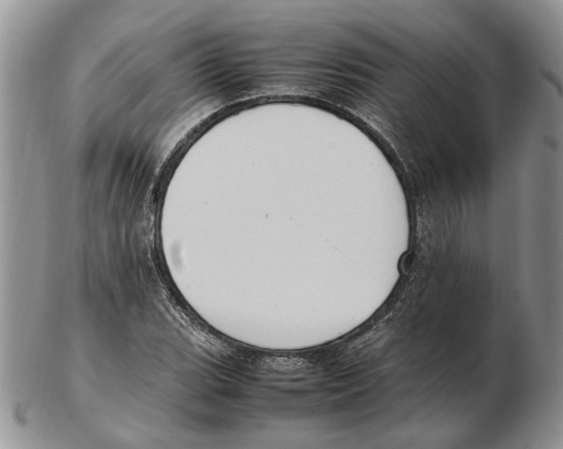 X0000102251119200808221346