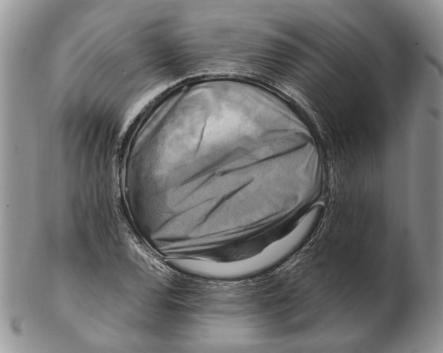 X0000102251120200808221346