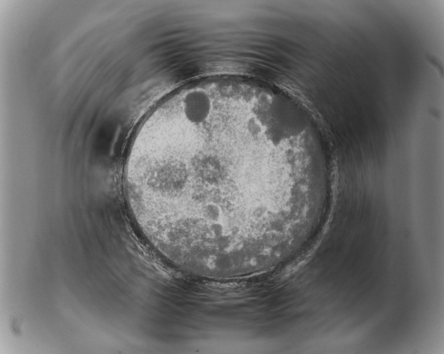 X0000102251121200808221346