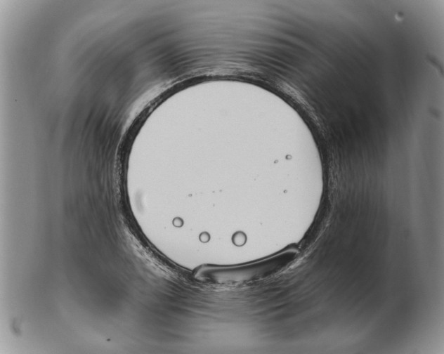 X0000102251122200808221346