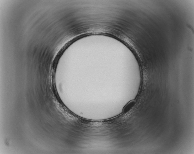 X0000102251124200808221347