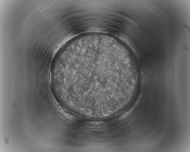 X0000102251125200808221347