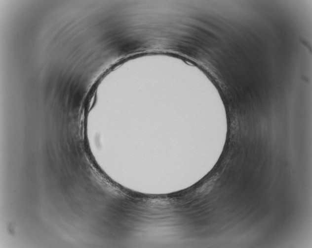 X0000102251126200808221347