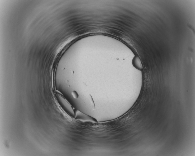 X0000102251127200808221347