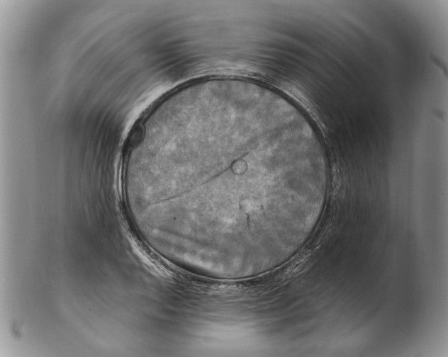 X0000102251128200808221347