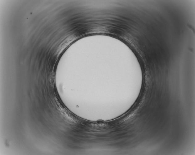 X0000102251129200808221347