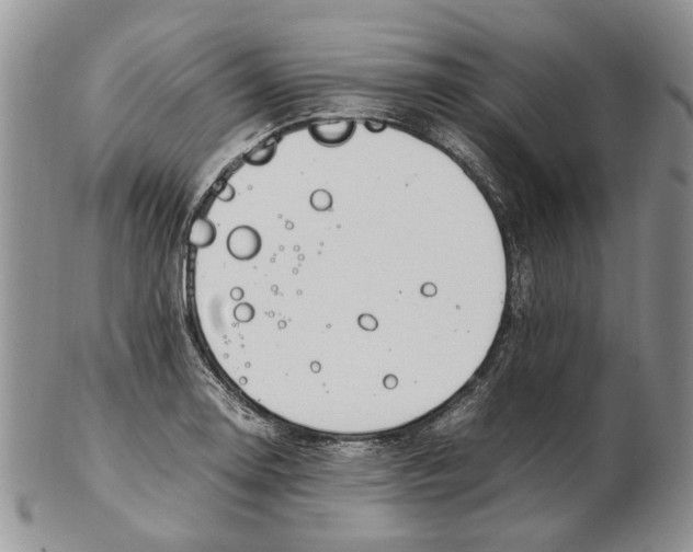X0000102251130200808221347