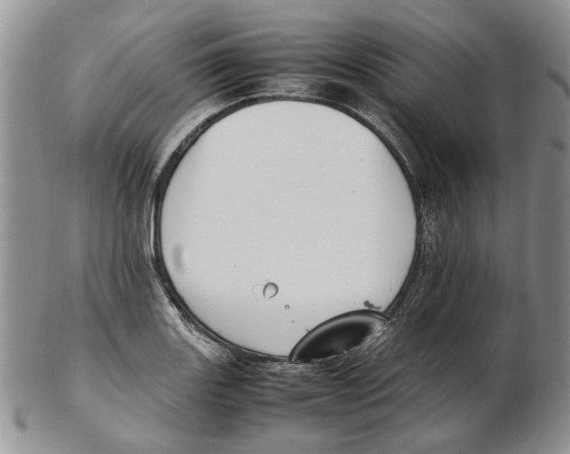 X0000102251131200808221347