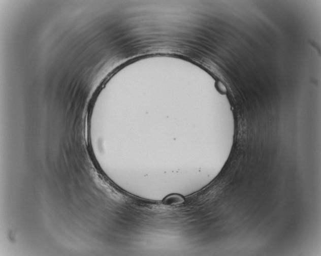 X0000102251132200808221347