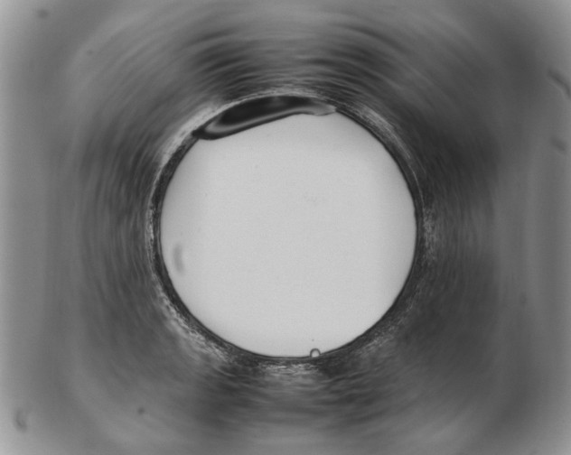 X0000102251133200808221347