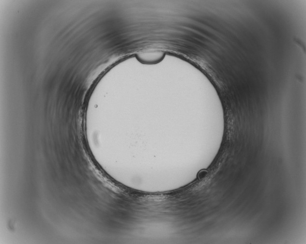 X0000102251134200808221347