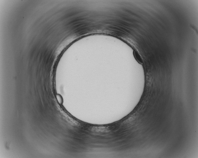 X0000102251135200808221347
