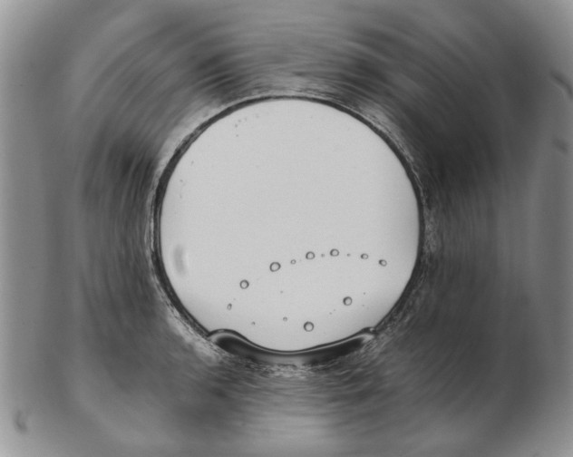 X0000102251136200808221347