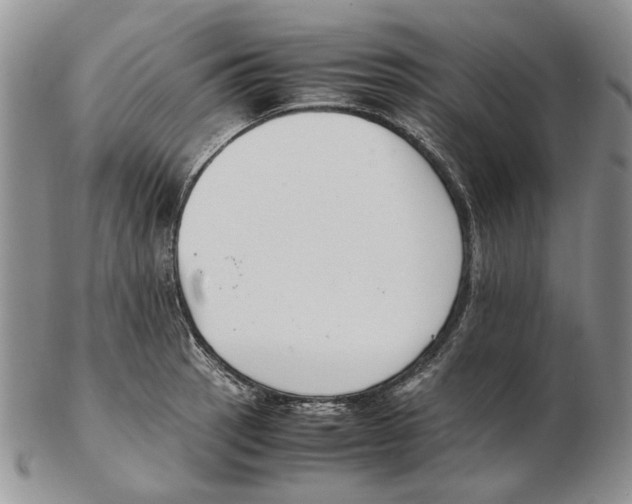 X0000102251137200808221347