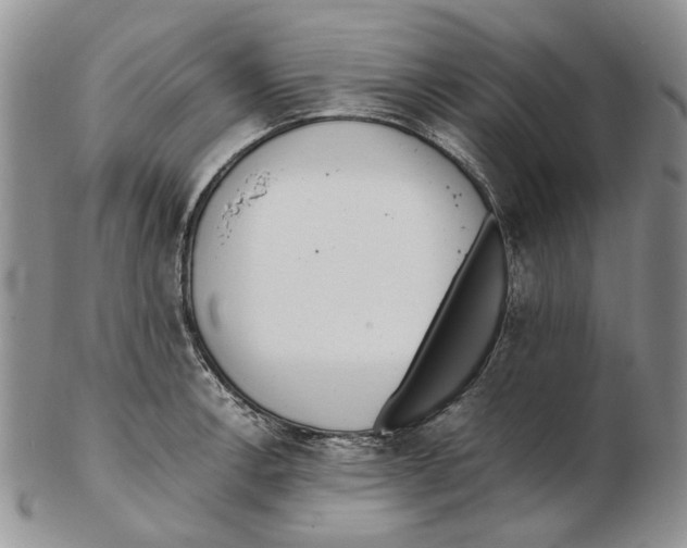 X0000102251138200808221347