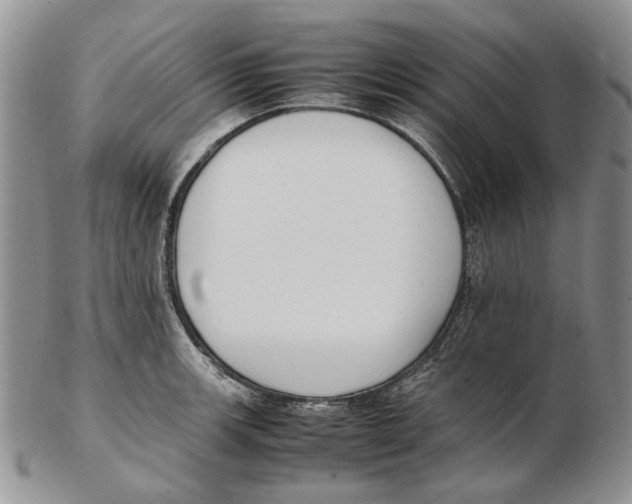 X0000102251139200808221347
